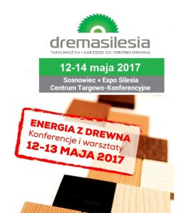 dremasilesia-energia-z-drewna